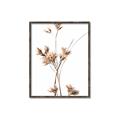 Picture of Aster Flower  _GroupedProduct_Rectangle_Portrait_Photography _GroupedProduct_Rectangle_Portrait_Canvas_Framed_