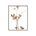 Picture of Aster Flower  _GroupedProduct_Rectangle_Portrait_Photography _GroupedProduct_Rectangle_Portrait_Canvas_Framed_