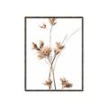 Picture of Aster Flower  _GroupedProduct_Rectangle_Portrait_Photography _GroupedProduct_Rectangle_Portrait_Canvas_Framed_
