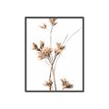 Picture of Aster Flower  _GroupedProduct_Rectangle_Portrait_Photography _GroupedProduct_Rectangle_Portrait_Canvas_Framed_