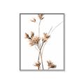 Picture of Aster Flower  _GroupedProduct_Rectangle_Portrait_Photography _GroupedProduct_Rectangle_Portrait_Canvas_Framed_