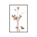 Picture of Aster Flower  _GroupedProduct_Rectangle_Portrait_Photography _GroupedProduct_Rectangle_Portrait_Canvas_Framed_