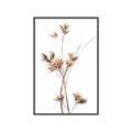 Picture of Aster Flower  _GroupedProduct_Rectangle_Portrait_Photography _GroupedProduct_Rectangle_Portrait_Canvas_Framed_