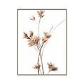 Picture of Aster Flower  _GroupedProduct_Rectangle_Portrait_Photography _GroupedProduct_Rectangle_Portrait_Canvas_Framed_