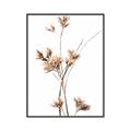 Picture of Aster Flower  _GroupedProduct_Rectangle_Portrait_Photography _GroupedProduct_Rectangle_Portrait_Canvas_Framed_
