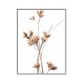 Picture of Aster Flower  _GroupedProduct_Rectangle_Portrait_Photography _GroupedProduct_Rectangle_Portrait_Canvas_Framed_