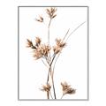 Picture of Aster Flower  _GroupedProduct_Rectangle_Portrait_Photography _GroupedProduct_Rectangle_Portrait_Canvas_Framed_