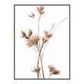 Picture of Aster Flower  _GroupedProduct_Rectangle_Portrait_Photography _GroupedProduct_Rectangle_Portrait_Canvas_Framed_