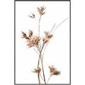 Picture of Aster Flower  _GroupedProduct_Rectangle_Portrait_Photography _GroupedProduct_Rectangle_Portrait_Canvas_Framed_