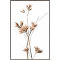 Picture of Aster Flower  _GroupedProduct_Rectangle_Portrait_Photography _GroupedProduct_Rectangle_Portrait_Canvas_Framed_
