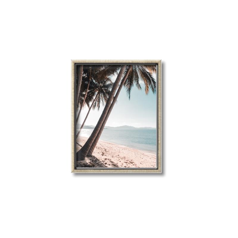 Picture of Beach Palms  _GroupedProduct_Rectangle_Portrait_Photography _GroupedProduct_Rectangle_Portrait_Canvas_Framed_