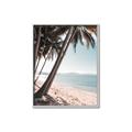 Picture of Beach Palms  _GroupedProduct_Rectangle_Portrait_Photography _GroupedProduct_Rectangle_Portrait_Canvas_Framed_