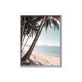 Picture of Beach Palms  _GroupedProduct_Rectangle_Portrait_Photography _GroupedProduct_Rectangle_Portrait_Canvas_Framed_
