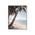 Picture of Beach Palms  _GroupedProduct_Rectangle_Portrait_Photography _GroupedProduct_Rectangle_Portrait_Canvas_Framed_