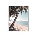Picture of Beach Palms  _GroupedProduct_Rectangle_Portrait_Photography _GroupedProduct_Rectangle_Portrait_Canvas_Framed_