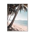 Picture of Beach Palms  _GroupedProduct_Rectangle_Portrait_Photography _GroupedProduct_Rectangle_Portrait_Canvas_Framed_