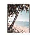 Picture of Beach Palms  _GroupedProduct_Rectangle_Portrait_Photography _GroupedProduct_Rectangle_Portrait_Canvas_Framed_