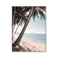 Picture of Beach Palms  _GroupedProduct_Rectangle_Portrait_Photography _GroupedProduct_Rectangle_Portrait_Canvas_Framed_