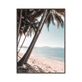 Picture of Beach Palms  _GroupedProduct_Rectangle_Portrait_Photography _GroupedProduct_Rectangle_Portrait_Canvas_Framed_