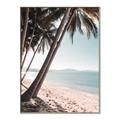 Picture of Beach Palms  _GroupedProduct_Rectangle_Portrait_Photography _GroupedProduct_Rectangle_Portrait_Canvas_Framed_