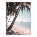 Picture of Beach Palms  _GroupedProduct_Rectangle_Portrait_Photography _GroupedProduct_Rectangle_Portrait_Canvas_Framed_