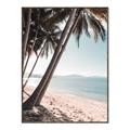 Picture of Beach Palms  _GroupedProduct_Rectangle_Portrait_Photography _GroupedProduct_Rectangle_Portrait_Canvas_Framed_