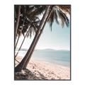 Picture of Beach Palms  _GroupedProduct_Rectangle_Portrait_Photography _GroupedProduct_Rectangle_Portrait_Canvas_Framed_