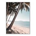 Picture of Beach Palms  _GroupedProduct_Rectangle_Portrait_Photography _GroupedProduct_Rectangle_Portrait_Canvas_Framed_