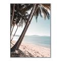 Picture of Beach Palms  _GroupedProduct_Rectangle_Portrait_Photography _GroupedProduct_Rectangle_Portrait_Canvas_Framed_