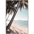 Picture of Beach Palms  _GroupedProduct_Rectangle_Portrait_Photography _GroupedProduct_Rectangle_Portrait_Canvas_Framed_