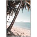 Picture of Beach Palms  _GroupedProduct_Rectangle_Portrait_Photography _GroupedProduct_Rectangle_Portrait_Canvas_Framed_