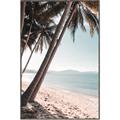 Picture of Beach Palms  _GroupedProduct_Rectangle_Portrait_Photography _GroupedProduct_Rectangle_Portrait_Canvas_Framed_
