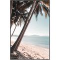 Picture of Beach Palms  _GroupedProduct_Rectangle_Portrait_Photography _GroupedProduct_Rectangle_Portrait_Canvas_Framed_