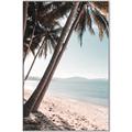 Picture of Beach Palms  _GroupedProduct_Rectangle_Portrait_Photography _GroupedProduct_Rectangle_Portrait_Canvas_Framed_