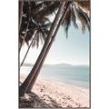 Picture of Beach Palms  _GroupedProduct_Rectangle_Portrait_Photography _GroupedProduct_Rectangle_Portrait_Canvas_Framed_