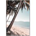Picture of Beach Palms  _GroupedProduct_Rectangle_Portrait_Photography _GroupedProduct_Rectangle_Portrait_Canvas_Framed_