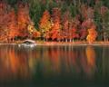 Picture of Autumn by the Lake _GroupedProduct_Rectangle_Landscape_Photography _GroupedProduct_Rectangle_Landscape_Unframed_Print_Only_