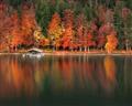 Picture of Autumn by the Lake _GroupedProduct_Rectangle_Landscape_Photography _GroupedProduct_Rectangle_Landscape_Unframed_Print_Only_