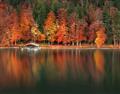 Picture of Autumn by the Lake _GroupedProduct_Rectangle_Landscape_Photography _GroupedProduct_Rectangle_Landscape_Unframed_Print_Only_