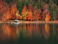 Picture of Autumn by the Lake _GroupedProduct_Rectangle_Landscape_Photography _GroupedProduct_Rectangle_Landscape_Unframed_Print_Only_