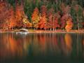 Picture of Autumn by the Lake _GroupedProduct_Rectangle_Landscape_Photography _GroupedProduct_Rectangle_Landscape_Unframed_Print_Only_