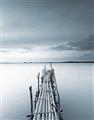Picture of Bamboo Dock  _GroupedProduct_Rectangle_Portrait_Photography _GroupedProduct_Rectangle_Portrait_Unframed_Print_Only_