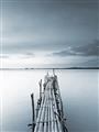 Picture of Bamboo Dock  _GroupedProduct_Rectangle_Portrait_Photography _GroupedProduct_Rectangle_Portrait_Unframed_Print_Only_