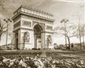 Picture of Arc de Triomphe _GroupedProduct_Rectangle_Landscape_Photography _GroupedProduct_Rectangle_Landscape_Unframed_Print_Only_