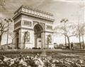 Picture of Arc de Triomphe _GroupedProduct_Rectangle_Landscape_Photography _GroupedProduct_Rectangle_Landscape_Unframed_Print_Only_