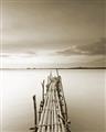 Picture of Bamboo Dock  _GroupedProduct_Rectangle_Portrait_Photography _GroupedProduct_Rectangle_Portrait_Unframed_Print_Only_