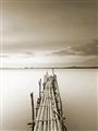 Picture of Bamboo Dock  _GroupedProduct_Rectangle_Portrait_Photography _GroupedProduct_Rectangle_Portrait_Unframed_Print_Only_