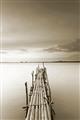 Picture of Bamboo Dock  _GroupedProduct_Rectangle_Portrait_Photography _GroupedProduct_Rectangle_Portrait_Unframed_Print_Only_