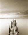 Picture of Bamboo Dock  _GroupedProduct_Rectangle_Portrait_Photography _GroupedProduct_Rectangle_Portrait_Unframed_Print_Only_