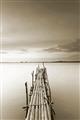 Picture of Bamboo Dock  _GroupedProduct_Rectangle_Portrait_Photography _GroupedProduct_Rectangle_Portrait_Unframed_Print_Only_